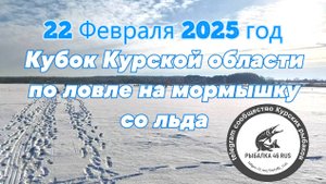 Кубок Курской области по мормышке. 22 февраля 2025 год.