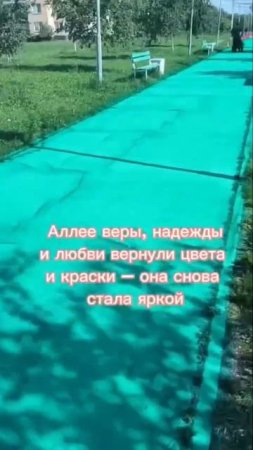 Самая первая аллея Академа – преобразилась