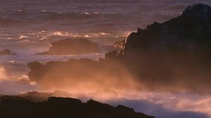 не в красивых словах любовь живет...света путь