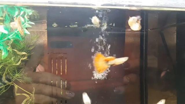 2 мая 2021 г. смотреть онлайн