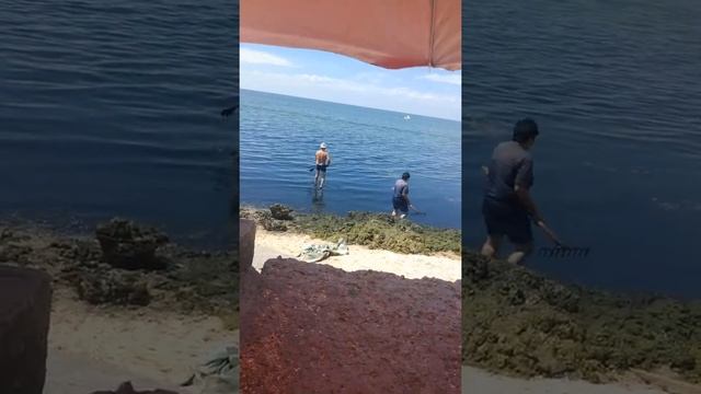 Город Бердянск срач на пляже!!!Где купаются отдыхающие?! смотреть онлайн