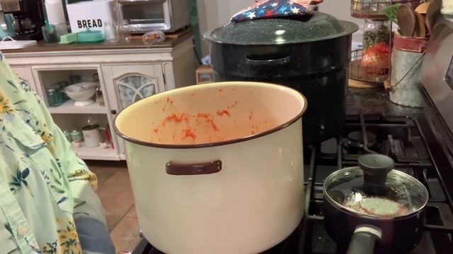 Canning Salsa from Frozen Tomatoes смотреть онлайн