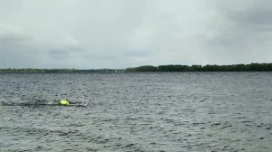 Моржевание, все что нужно знать.Стоит ли начинать?Реально ли закаляет тело? Где моржи плавают летом