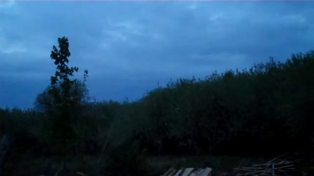 Пение птиц в деревне, весна смотреть онлайн