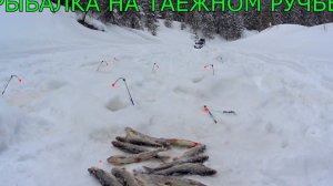 рыбалка по хариусу на хитрые снасти