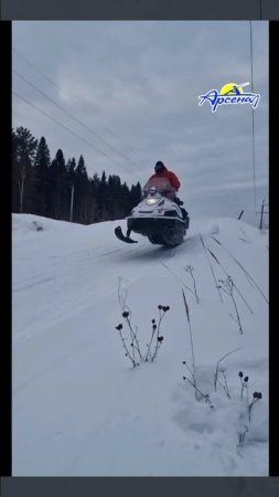 Снегоход STELS СТАВР MS600T (L LUX SWT) 1.0 К01 CVTech