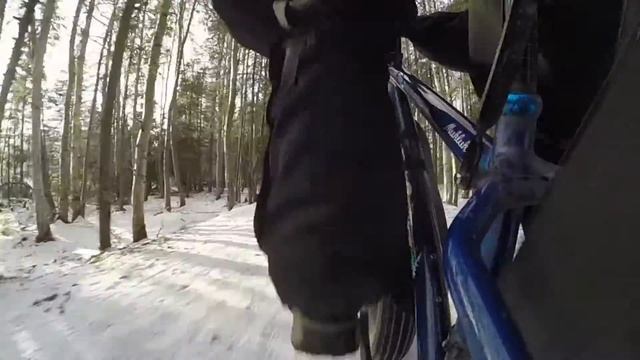 Fat bike Alaska: biking in Anchorage