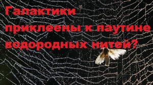 Галактики приклеены к паутине водородных нитей