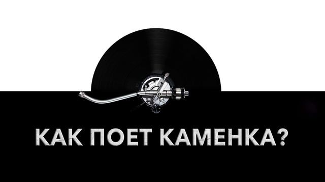 Как поет каменка? 🐦 Звук поющей каменки и какие звуки издает каменка