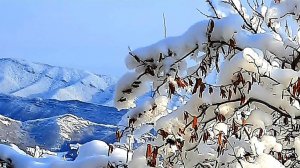 Горы Дагестана, красивая  зима в горах Дагестаена