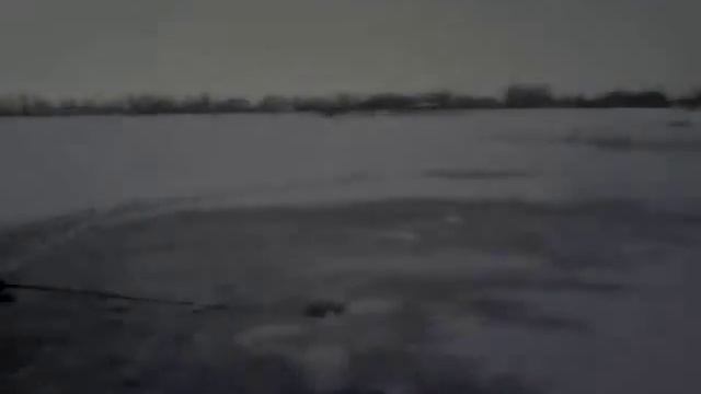 Обращение Саида Накаева !!! смотреть онлайн