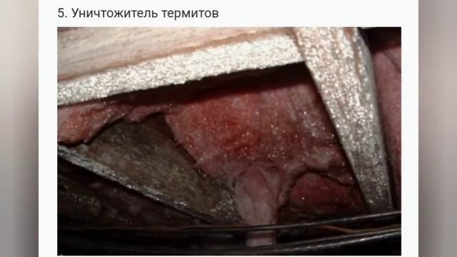 САМЫЕ СТРАННЫЕ ПРОФЕССИИ В МИРЕ!