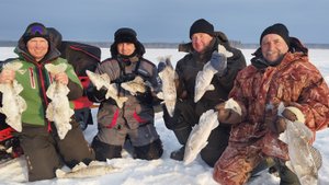 В конце рыбалки нашел ту самую лунку с судаками .