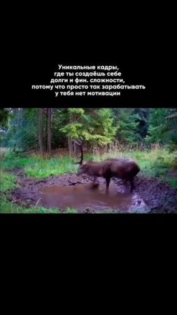 Было такое? Признавайся)
