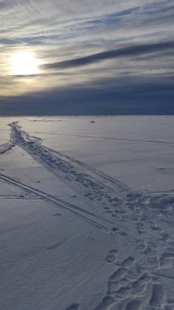 ЛЕДОВАЯ ОБСТАНОВКА ФИНСКИЙ ЗАЛИВ