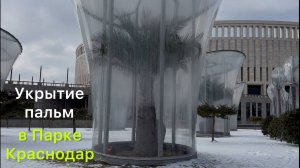 Укрытие пальм в Парке Краснодар 🌴❄️ Park Krasnodar palms