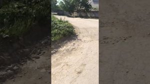 Дорога. Крым Джанкой руины