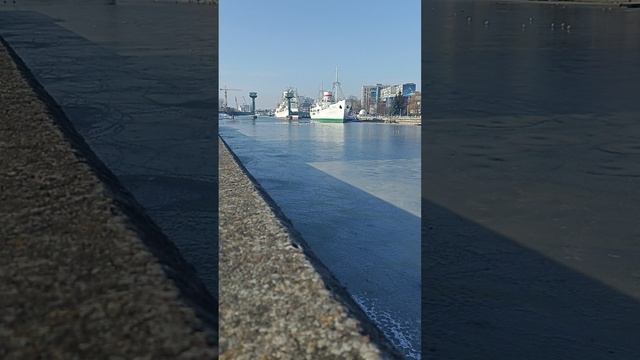 Психологические ловушки
