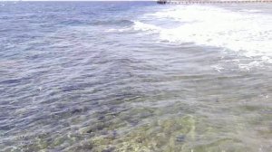 Плюсы и минусы отеля Sharm Grand Plaza. Шарм-Эль-шейх. Египет. Апрель 2019