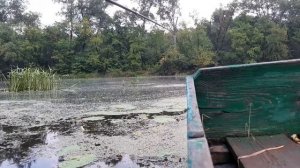 События дня Приволье,Лисичанск