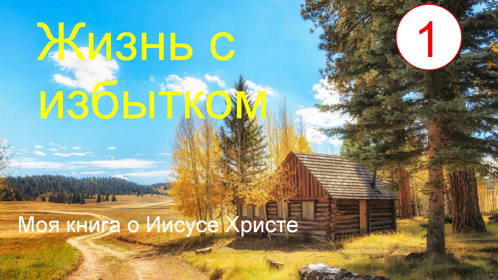 Жизнь с избытком. Часть 1 смотреть онлайн