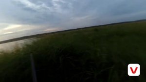 Охота на уток/duck hunting 2018 осень