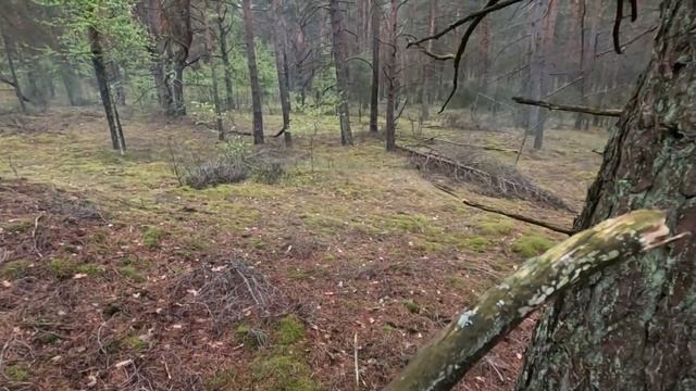 ОГНИВОТЕОРИЯ ВЫЖИВАНИЯBy STRELOK