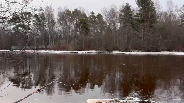 РЕКА ЧЁРНАЯ. ОБСТАНОВКА НА 01.04.2024г. #рекачерная #рыбалка  #обзор