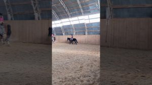 Вика и Наоми. Тренировка с комментариями. #horse, #equestrian, #лошади, #pony, #конный спорт.