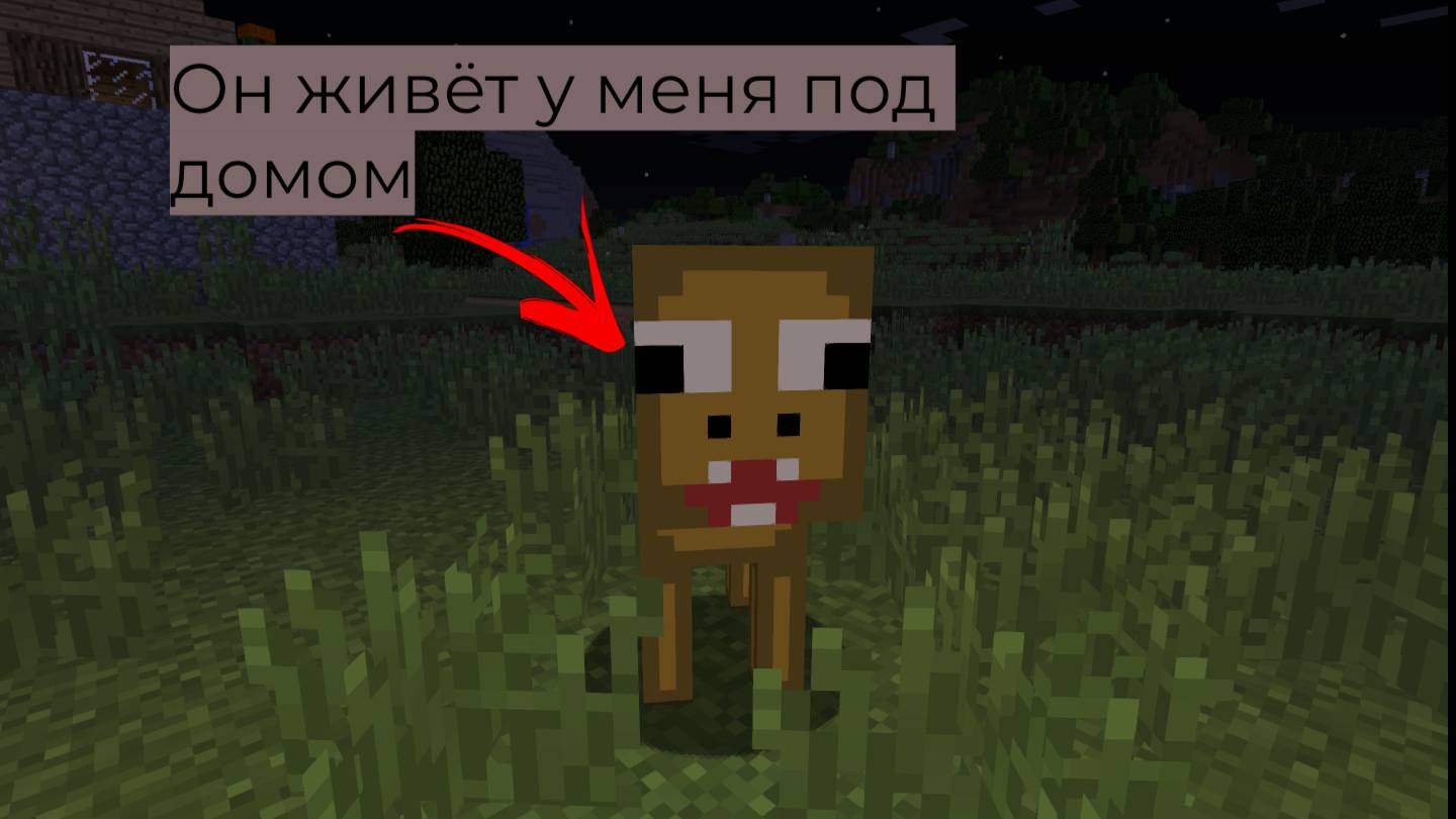 Кто живет у меня под домом?