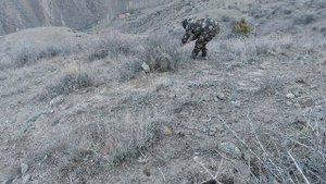 Шикори Кабк Keklik avi tuzakla Охота на куропатка Partridge hunting Kabk shikar شکار کبک Chukar avi