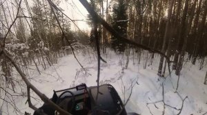 Утренняя прогулка