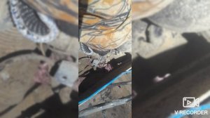 Камаз 5350 ZOV - не запуск🇷🇺🇷🇺🇷🇺