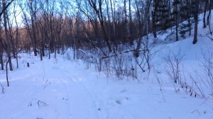 Не сбывшаяся мечта сахалинцев.3