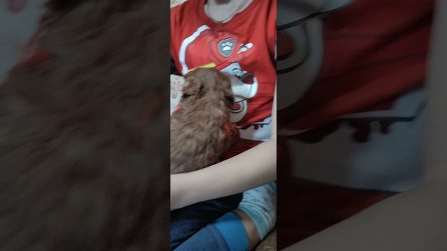 VID_20250224_170355.mp4