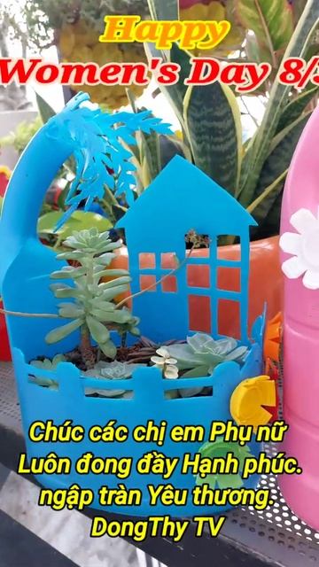 Shorts Happy Womens Day 83  Lời Chúc Đến Chị Em Phụ Nữ  DongThy TV