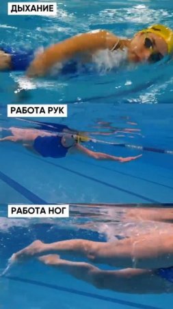 Правильные движения в кроле🏊🏼♂️