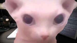 Провинция РП Роблокс