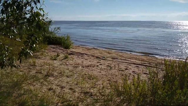 Лис партизанит в дюнах смотреть онлайн