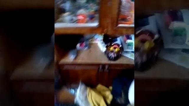 Генеральная уборка в клетке хомяка часть 4