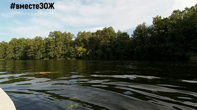 #вместеЗОЖ река ВОРОНЕЖ 2023  25 серия ПОСЁЛОК РАДЧИНО С ВОДЫ