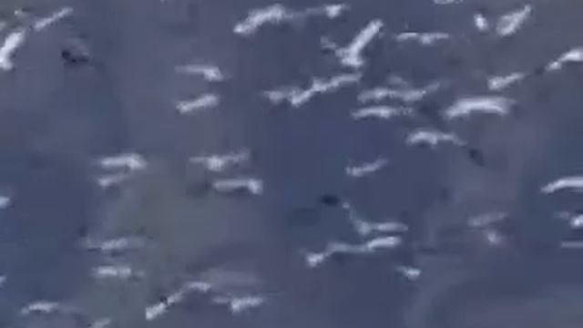 risale i nur 12.word 1 by said nursi english смотреть онлайн