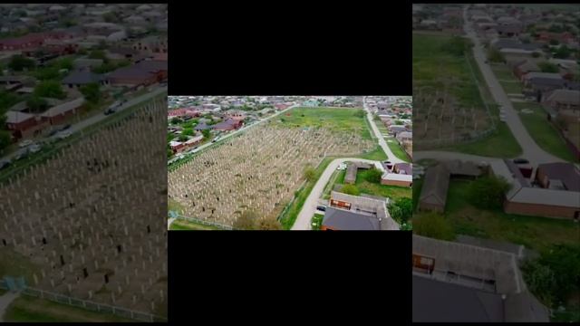 село виноградное Байрам смотреть онлайн