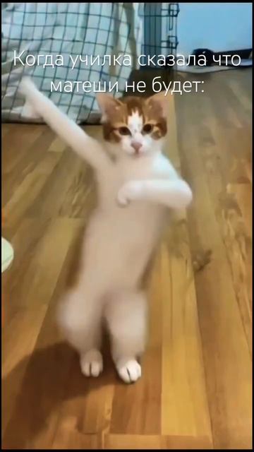 Жиза? queen врек тренд лика лп dance игра танец