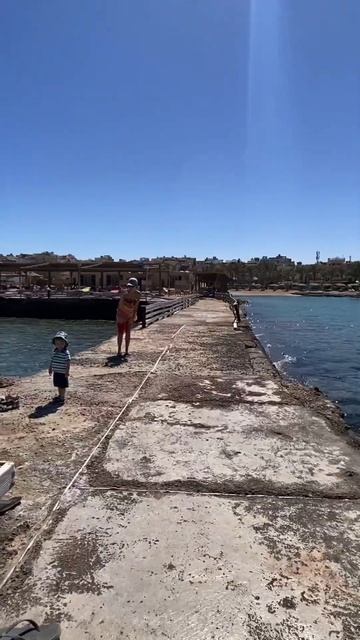 Зима в Египте 🌴 #egypt #hurghada #хургада #sea смотреть онлайн