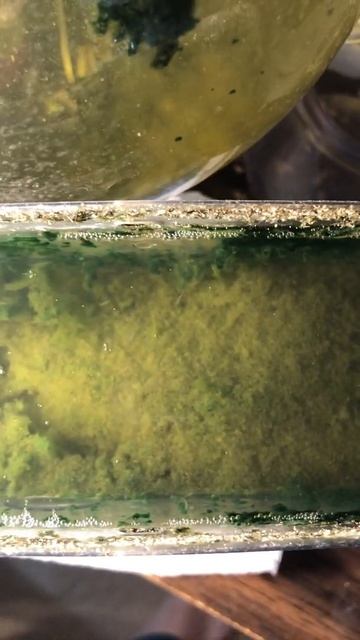 My Sea Monkeys - And here I thought I was about to close Nursery #3... смотреть онлайн