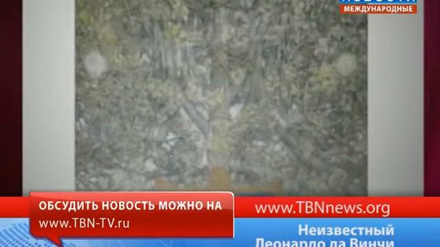 Неизвестный Леонардо да Винчи смотреть онлайн