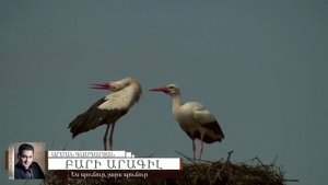 Arman Gasparyan: Bari Aragil (ԲԱՐԻ ԱՐԱԳԻԼ)
