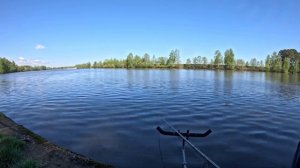 ВЕСЕННИЙ ФИДЕР НА МОСКВА РЕКЕ, ЛОВЛЯ ПЛОТВЫ И ЛЕЩА В МАЕ 2024