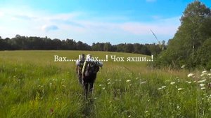 НАШЛИ СТРАШНО! ЗВУКИ МУ..ё ЧЁРНЫЙ Квадрат Ночь ПОКУЕМ ЧЕМОДАНЫ Ахмет-гора Мугам Кавказ Псебай